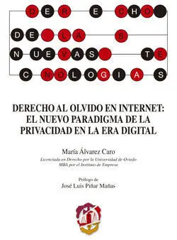 Derecho Al Olvido en Internet: el Nuevo Paradigma de la Privacidad en la Era Dig