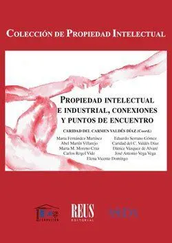 Propiedad Intelectual e Industrial, Conexiones y P