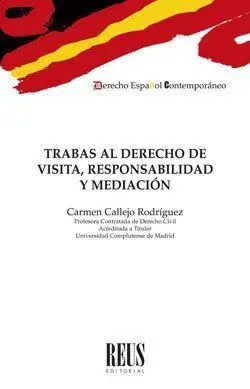 Trabas Al Derecho de Visita, Responsabilidad y Med