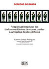 RESPONSABILIDAD POR LOS DAÑOS RESULTANTES DE COSAS