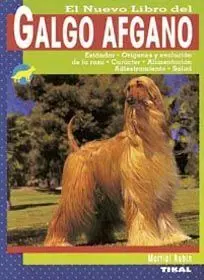 Galgo Afgano