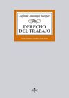DERECHO DEL TRABAJO (34Âª ED.)