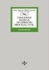 CONCEPTOS BÁSICOS DE DERECHO PROCESAL CIVIL