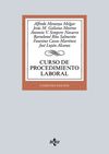 CURSO DE PROCEDIMIENTO LABORAL