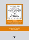 MANUAL DE DERECHO CONSTITUCIONAL. VOL. I