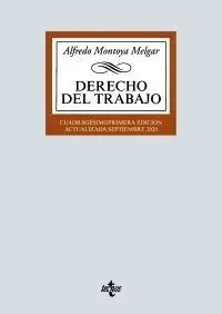 Derecho del Trabajo - 2020