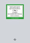CURSO DE DERECHO PENAL