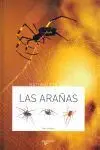Las Arañas