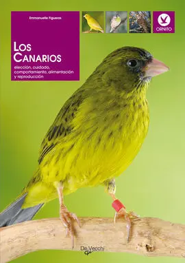 Los Canarios