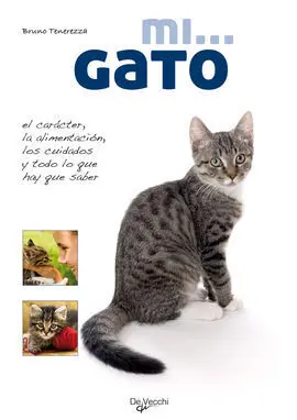 Mi... Gato
