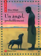 30. Un Àngel, Probablement