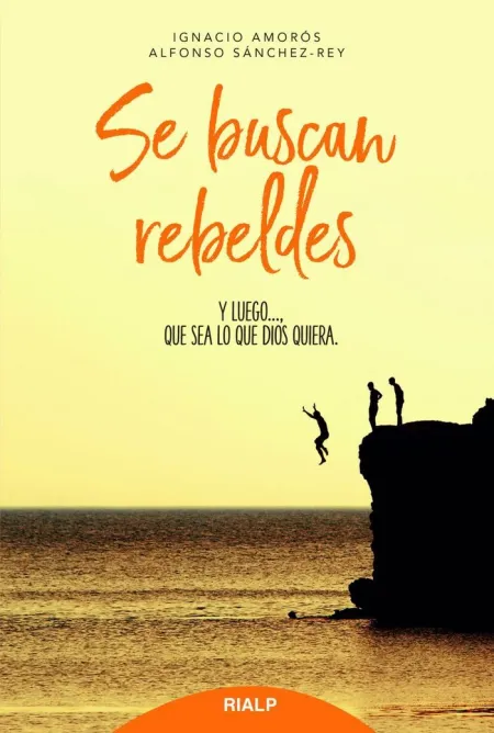 Se Buscan Rebeldes