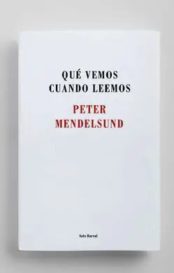 Que Vemos Cuando Leemos
