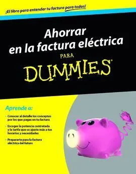 La Factura Electrica para Dummies