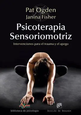 Psicoterapia Sensoriomotriz