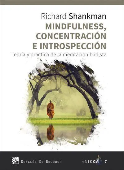 Mindfulness, Concentracion e Introspeccion - Teori