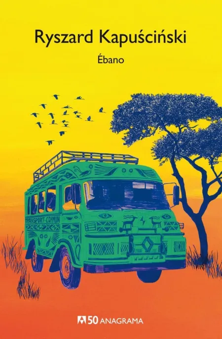 Ébano - Cm50
