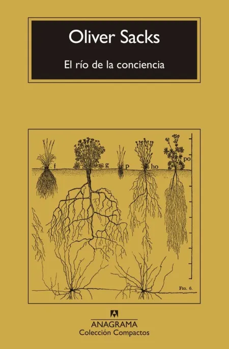 El Río de la Conciencia