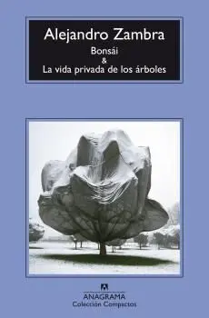 Bonsái y la Vida Privada de los Árboles