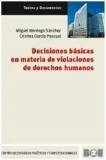 Decisiones Basicas en Materia de Violaciones de Derechos Humanos