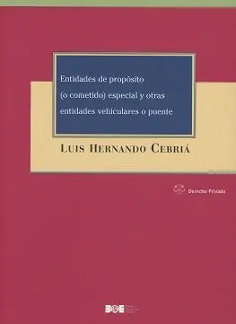 Entidades de Propósito (O Cometido) Especial y Otras Entidades Vehiculares o Puente