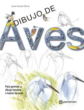 Dibujo de Aves