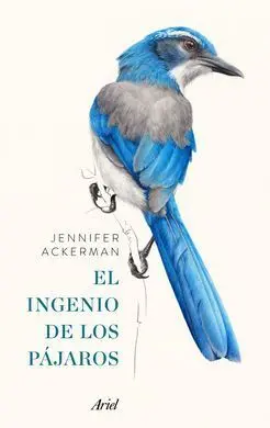 Pack el Ingenio de los Pajaros