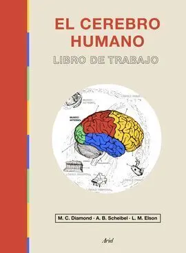 El Cerebro Humano