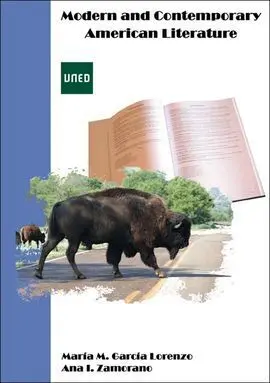 Modern And Contemporary American Literature
