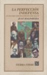 LA PERFECCIÓN INDEFENSA : ENSAYOS SOBRE LITERATURA EN LENGUA ESPAÑOLA DEL SIGLO