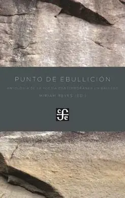Punto de Ebullición