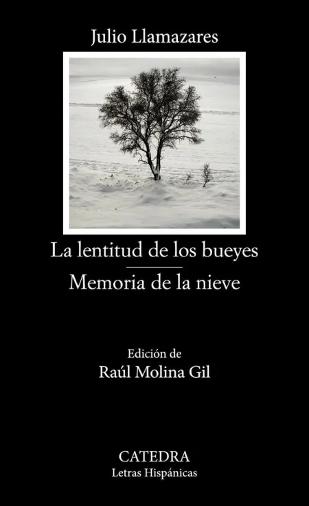 La Lentitud de los Bueyes - Memoria de la Nieve