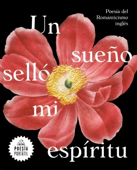 Un Sueño Selló mi Espíritu