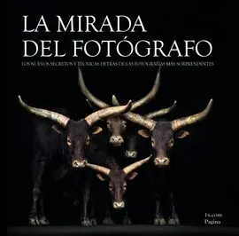 La Mirada del Fotógrafo