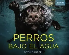 Perros Bajo el Agua