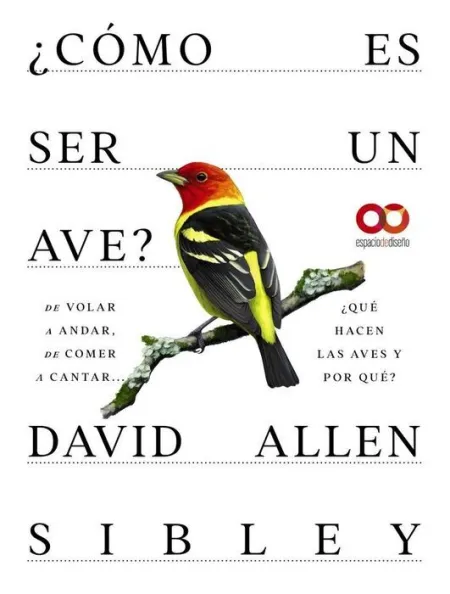 ¿Cómo Es Ser un Ave?