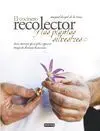El Cocinero Recolector y las Plantas Silvestres