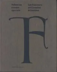 Pellegrino e Nuovo Apostolo, San Francesco Nel Cammino Di Santiago