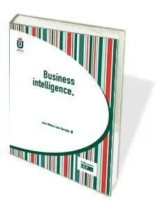 Business Intelligence