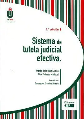 Sistema de Tutela Judicial Efectiva 2017