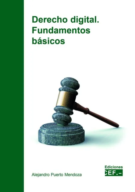 Derecho Digital Fundamentos Basicos