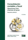 CONSOLIDACIÓN CONTABLE Y FISCAL. OPERACIONES ENTRE EMPRESAS DEL GRUPO. SUPUESTOS