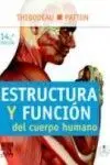 Lote Hansen-Thibodeau. netter. cuaderno de Anatomía para Colorear. 2ª Ed. +Estructur