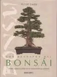 Los Secretos del Bonsái