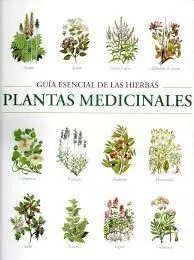 Plantas Medicinales
