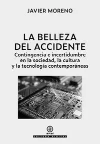 Belleza del Accidente