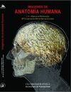 IMÁGENES DE ANATOMÍA HUMANA