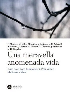Una Meravella Anomenada Vida