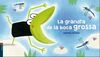 LA GRANOTA DE LA BOCA GROSSA