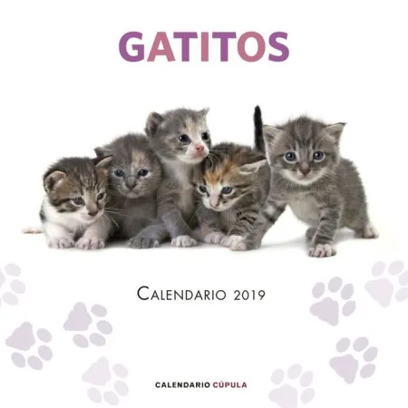 Calendario Gatitos 2019
